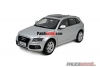 Paudi Audi Q5 2010 silber1:18