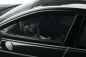 Preview: GT Spirit 312 Audi RS B9 Sportback schwarz 1:18 limited 1/999 Modellauto