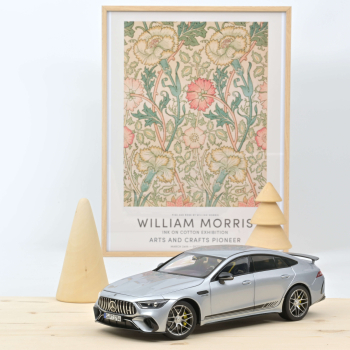 Norev 183444 Mercedes-Benz AMG GT  63 4Matic 2021 silber 1:18 Modellauto