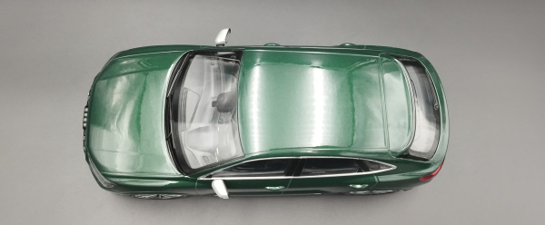 Minichamps 155018102 AUDI RSQ3 2019 grün metallic 1:18 limitiert 1/336 Modellauto